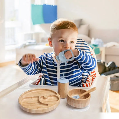 Baby Feeding Mealtime Set